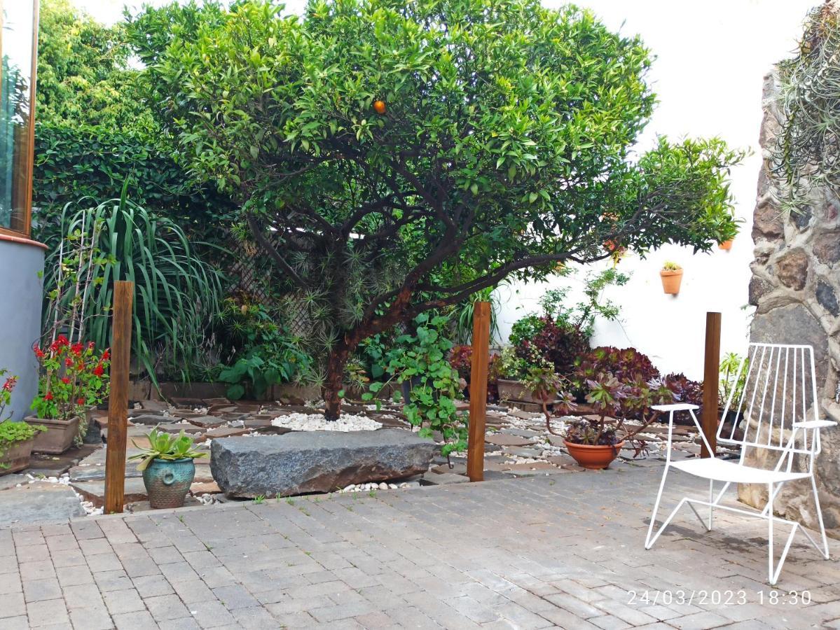 Casa Magali Villa Tacoronte Eksteriør bilde